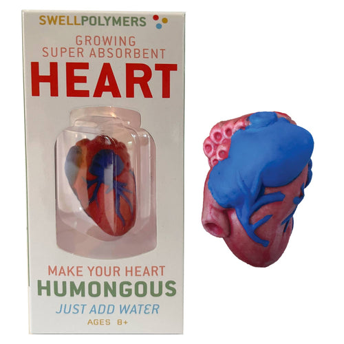 Extra Large Swell Polymer Heart | Show everyone your big heart