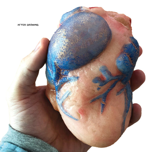 Extra Large Swell Polymer Heart | Show everyone your big heart