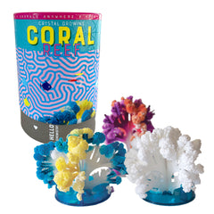 Crystal Growing Coral Reef