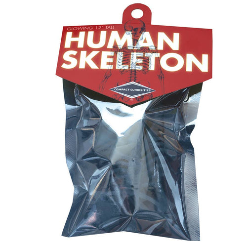 CC: Human Skeleton puzzle