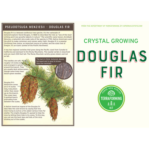 Crystal Growing Douglas Fir
